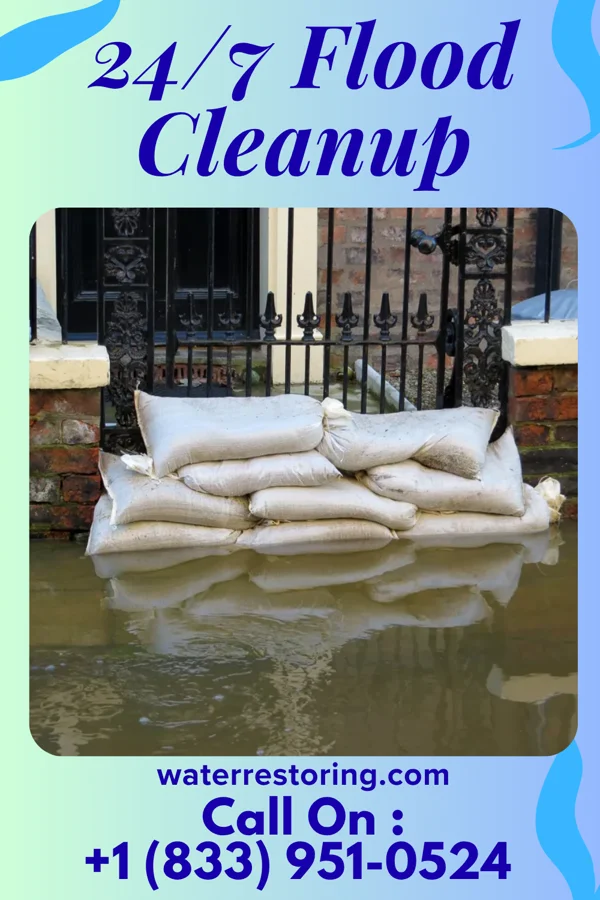 24/7 Flood Cleanup in Forestville, OH