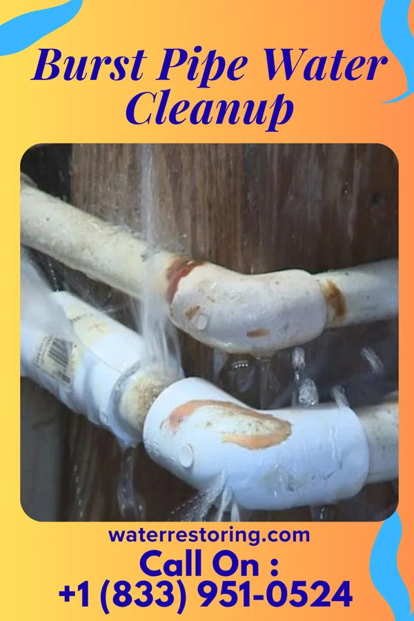 Burst Pipe Water Cleanup in Forestville, OH