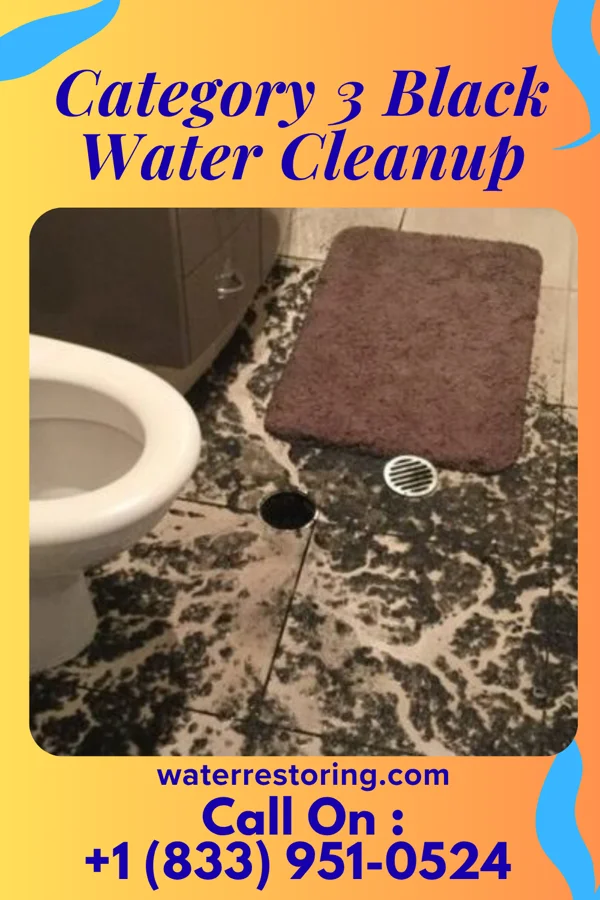 Category 3 Black Water Cleanup in Forestville, OH