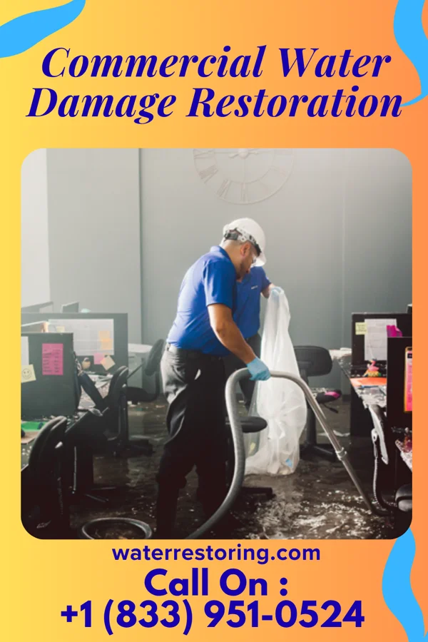 Commercial Water Damage Restoration in Forestville, OH