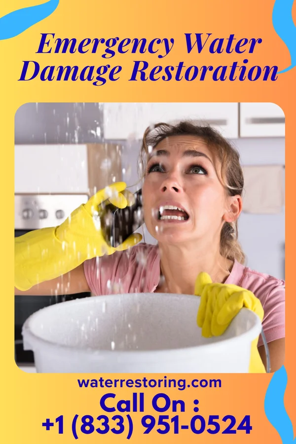 Emergency Water Damage Restoration in Forestville, OH