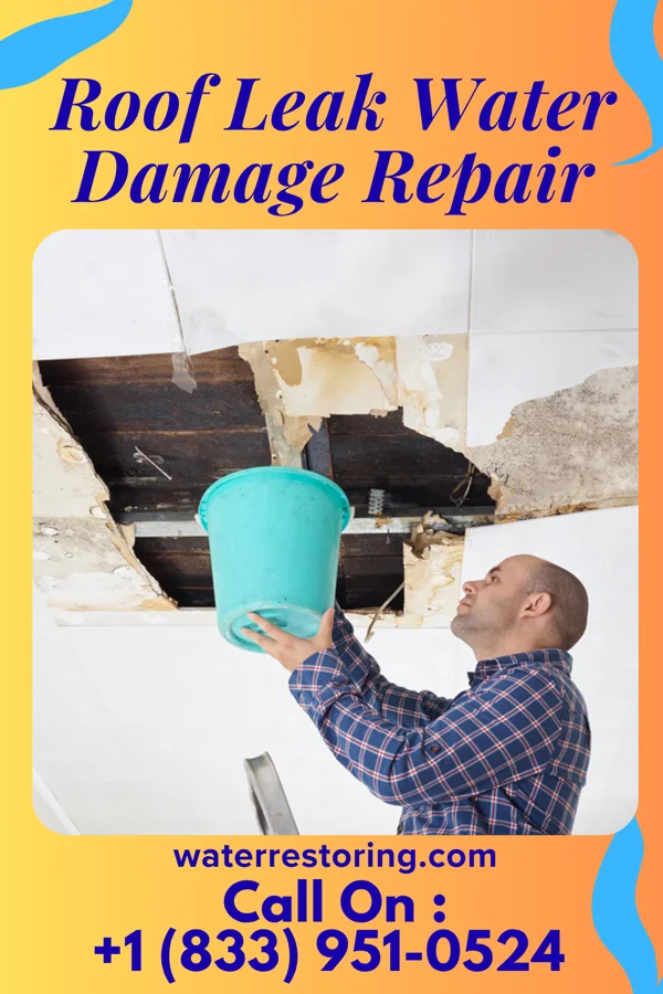 Roof Leak Water Damage Repair in Forestville, OH