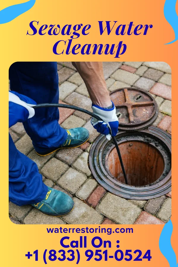 Sewage Water Cleanup in Forestville, OH
