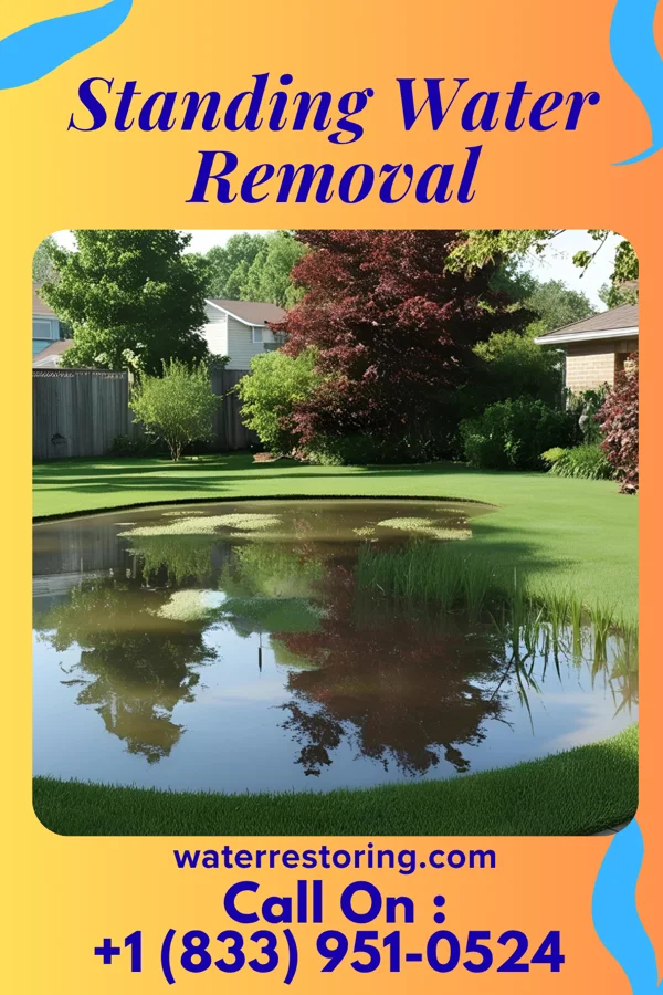 Standing Water Removal in Forestville, OH